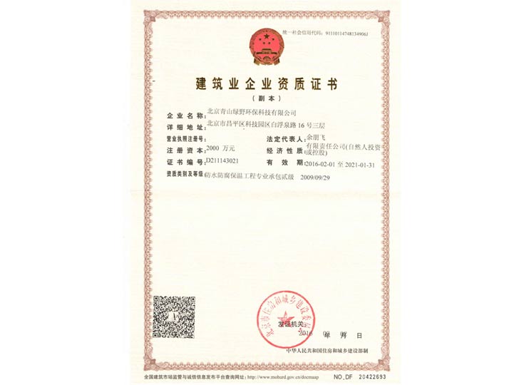 赏金船长